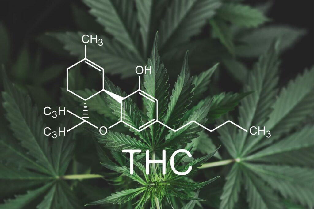 How to Use THC-H Products